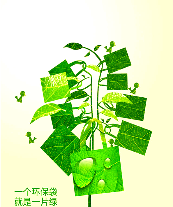 绿色长跑：环保与健康的结合