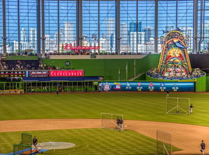 开云入口-国足核心战术执行人员稳定性研究，中国足球队战术